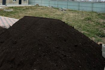 შავი მიწა