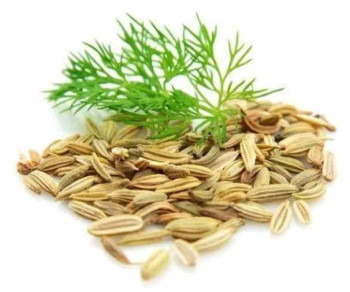 ძირა კვლიავი