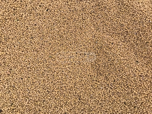 სიდერატი მდოგვის თესლი