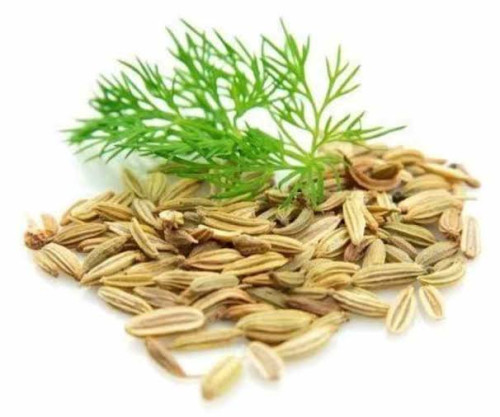 ძირა კვლიავი